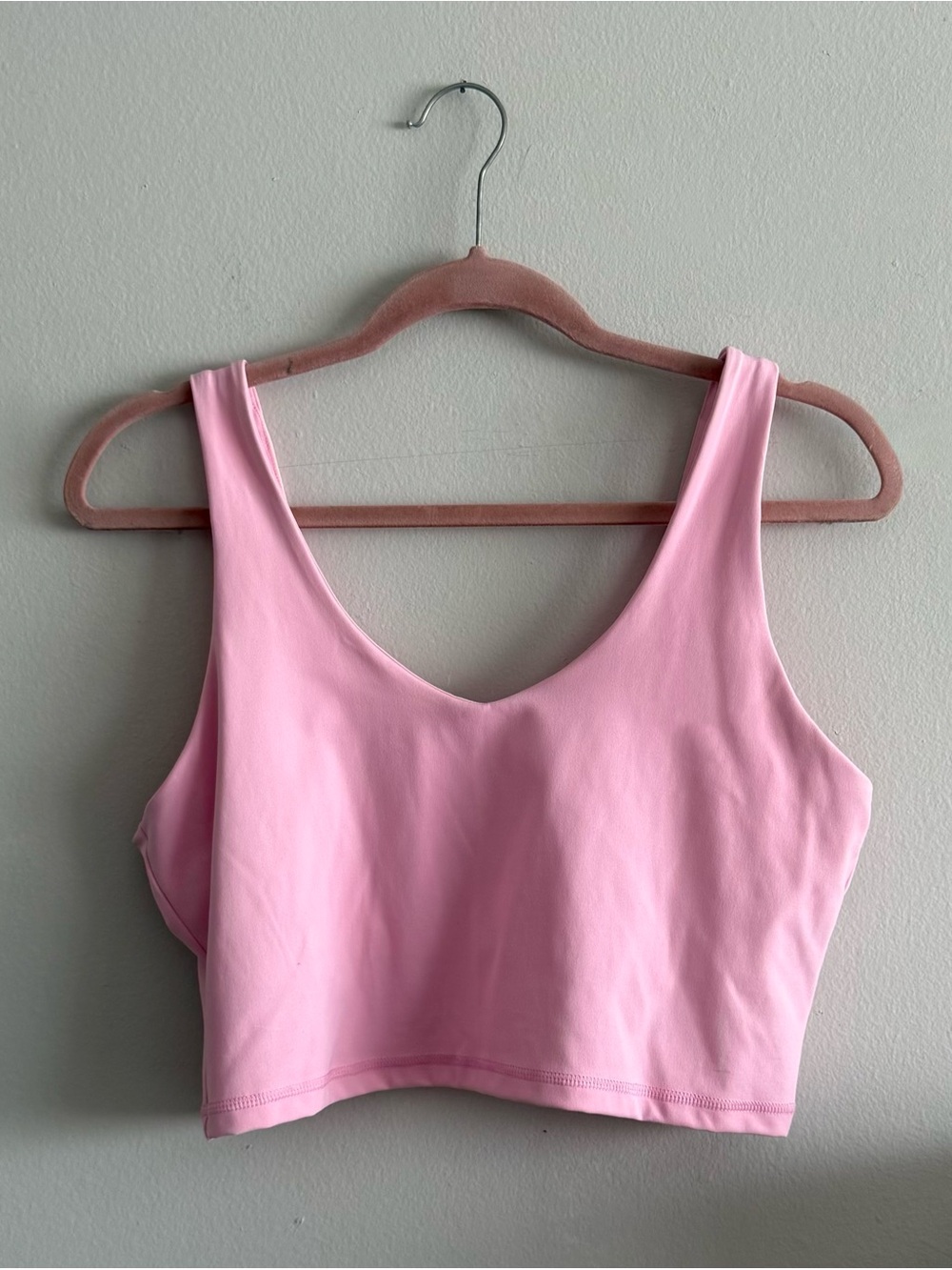 Social Tourist Light Pink V-Neck Crop Sports Bra in Size Large